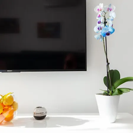 Sonia Apartment *
